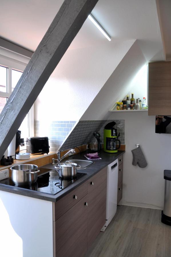 Gemuetliche Dachwohnung Mit Kleiner Oder Grosser Dachterrasse Nebeneinander Wolmirstedt Exterior photo